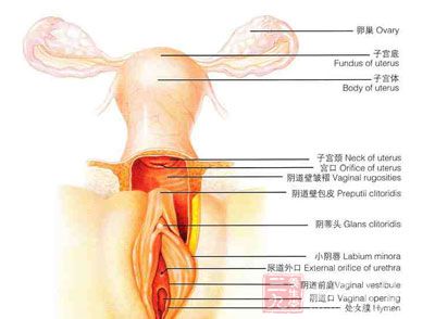 有小部分经血夹杂着脱落的子宫内膜碎片