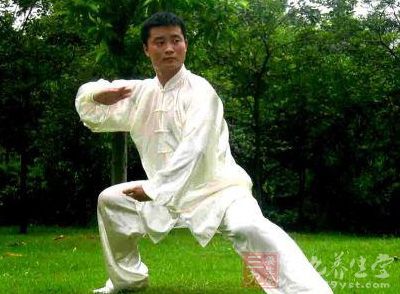 太极拳视频 关于杨氏太极的拳术诠真