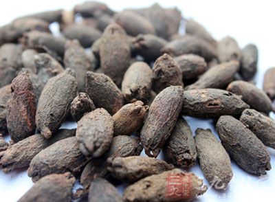 母丁香的药用价值与应用