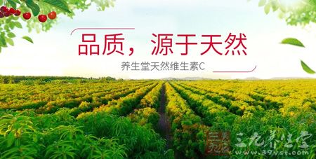 养生堂牌天然维生素C咀嚼片源于天然 养生堂牌天然维生素C咀嚼片源于天然