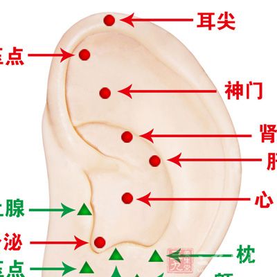 取穴：神門、皮質(zhì)下