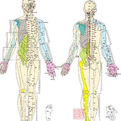 经络是遍布人体全身的"网络"系统,它控制着血和气的运行流动,以保证各