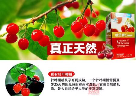 真正天然稀有针叶樱桃 真正天然稀有针叶樱桃