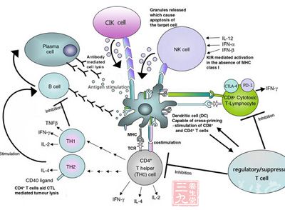 免疫疗法击败肿瘤君