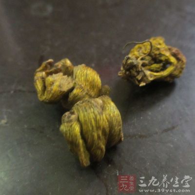 铁皮石斛有较好的利胆作用