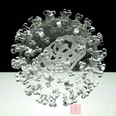 HIV家族树可揭示病毒传播机制