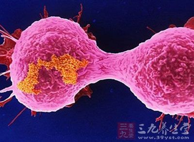 鉴别出可促进乳腺癌发生转移的特殊靶向基因
