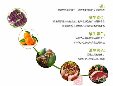 促进骨胶原的生物合成 促进骨胶原的生物合成
