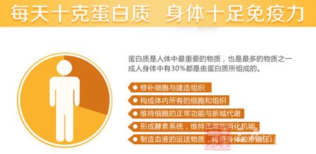 每天十克蛋白质身体十足免疫力 每天十克蛋白质身体十足免疫力