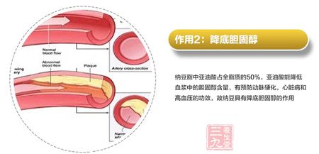 纳豆脂中亚油酸占全脂质的50% 纳豆脂中亚油酸占全脂质的50%