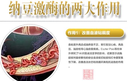 纳豆激酶的两大作用 纳豆激酶的两大作用