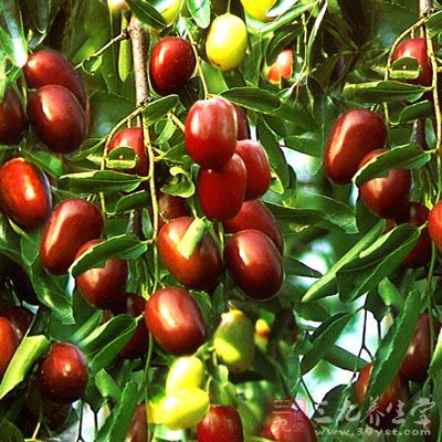 <em>掉头发</em>怎么办 如何治疗<em>掉头发</em>(5) - 三九养生堂