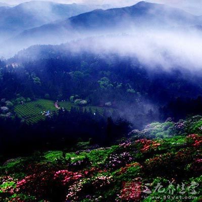 天台山华顶