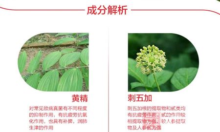 佳汇泰牌西洋参红景天胶囊成分解析 佳汇泰牌西洋参红景天胶囊成分解析