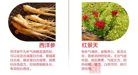 西洋参作为补气保健首选药材 西洋参作为补气保健首选药材