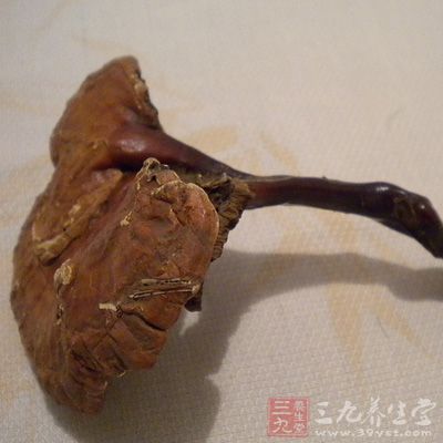 長(zhǎng)期服用靈芝有副作用嗎