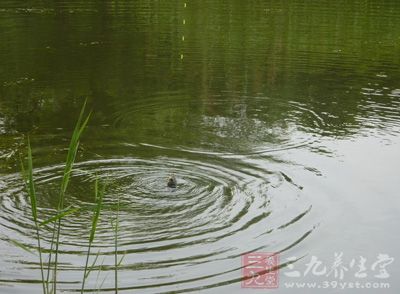 钓鱼是捕鱼中的一种，主要用到的工具有钓杆，鱼饵