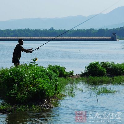 鯉魚膽小喜靜，多在清靜深水生存，活動范圍小但很有規(guī)律