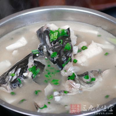 辛夷花魚頭湯