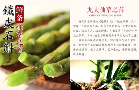 鲜条仙草之首九大仙草之首 鲜条仙草之首九大仙草之首