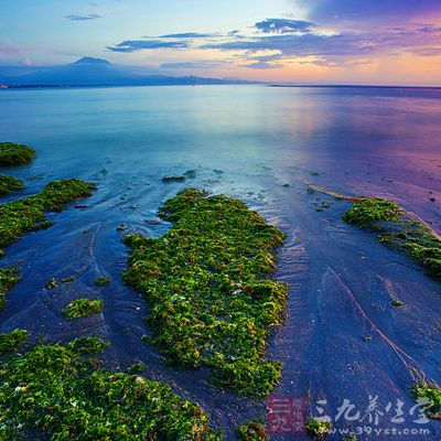 去过巴厘岛的人无不被它附有的热带风情所陶醉