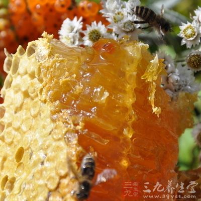 蜂王漿有抗菌和對(duì)傷口感染具有促進(jìn)愈合的作用