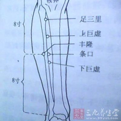 我們可以通過敲打胃經(jīng)的方法來改善脾陽虛、胃陽虛等現(xiàn)象，繼而起到改善腎陽虛現(xiàn)象的功效