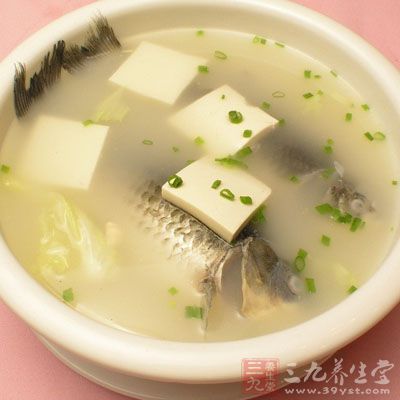 鯽魚豆腐湯