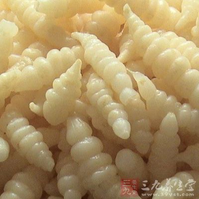 草石蚕的形态特征与医药价值-三九养生堂养生