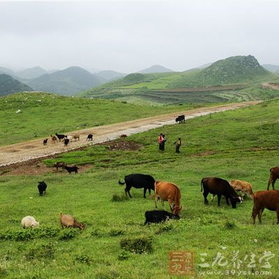 丽江、香格里拉、德钦等地海拔较高，应注意休息，以防出现高山反应