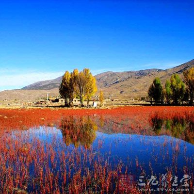 香格里拉風(fēng)景