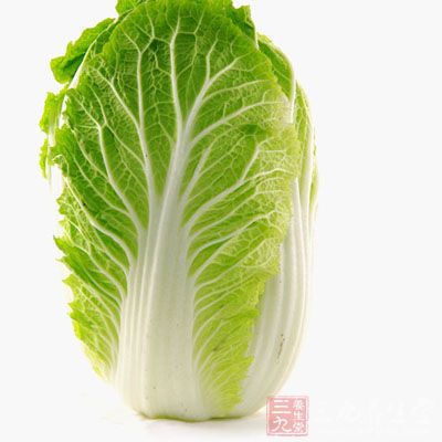 白菜營養(yǎng)豐富