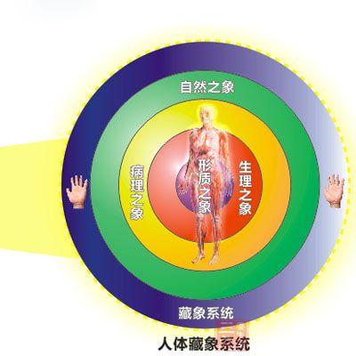 藏象学说-三九养生堂养生百科