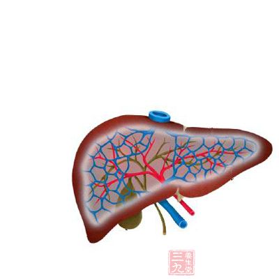 強化肝臟功能