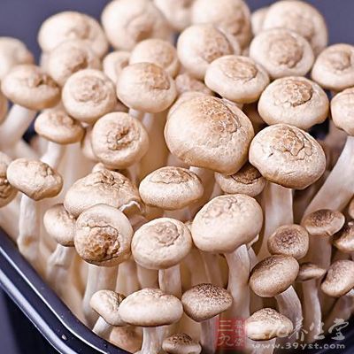 菇类富含维他命、矿物质以及食物纤维