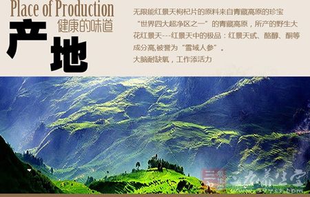 大脑耐缺级,工作添活力 大脑耐缺级,工作添活力