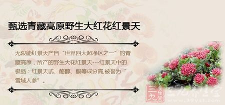 甄选青藏高原野生大红花红景天