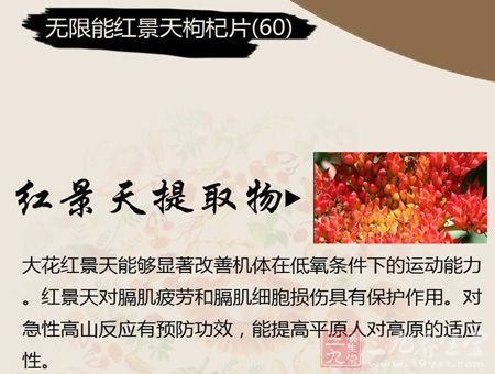 大花红景天能够显著改善机体在低氧条件下的运动能力