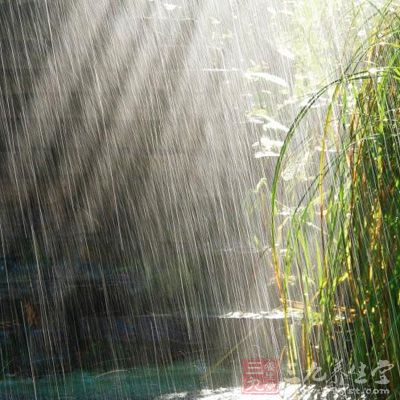 忌雨天、雨后、雪后、雾中跑