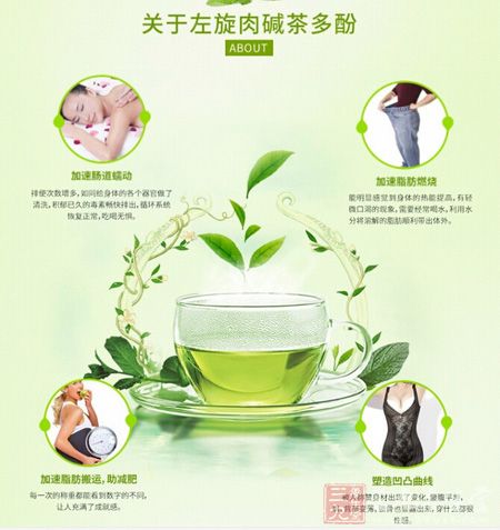 关于左旋肉碱茶多酚 关于左旋肉碱茶多酚