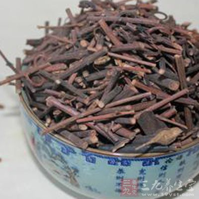 钩藤茶是以钩藤为主药的一个中药方剂