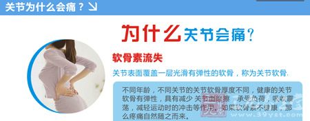 关节表面覆盖一层光滑有弹性的软骨 关节表面覆盖一层光滑有弹性的软骨