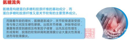 氨糖是构建蛋白多糖和胶原纤维的基础成分 氨糖是构建蛋白多糖和胶原纤维的基础成分