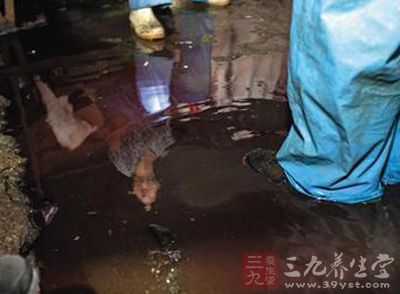 数千斤私宰猪肉流入北京通州 经检测含瘦肉精