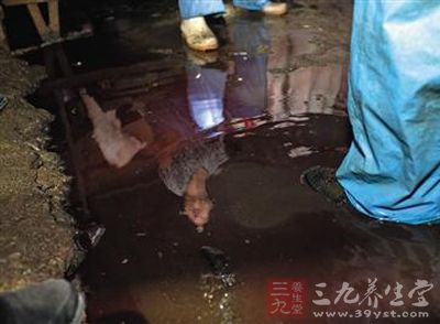北京通州现注水猪黑窝点 每日数千斤肉流向市场