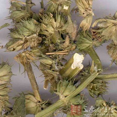 用料：益母草，薏仁，鸭肾