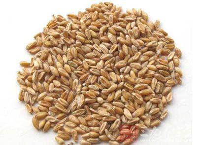 麻黄根