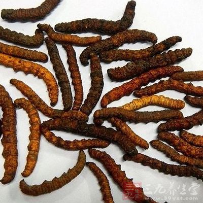 滋补店售含重金属假冬虫夏草 一家人食用后中