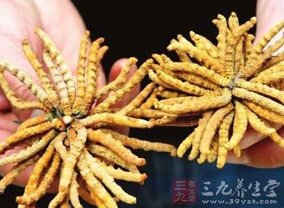 滋补店售含重金属假冬虫夏草 一家人食用后中