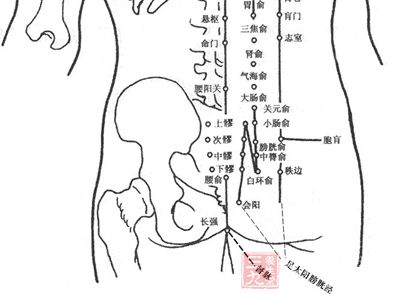 中医保健按摩 经常按摩巧尾